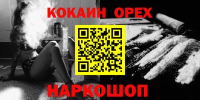 дживик Кингисепп