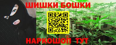 дживик Кингисепп