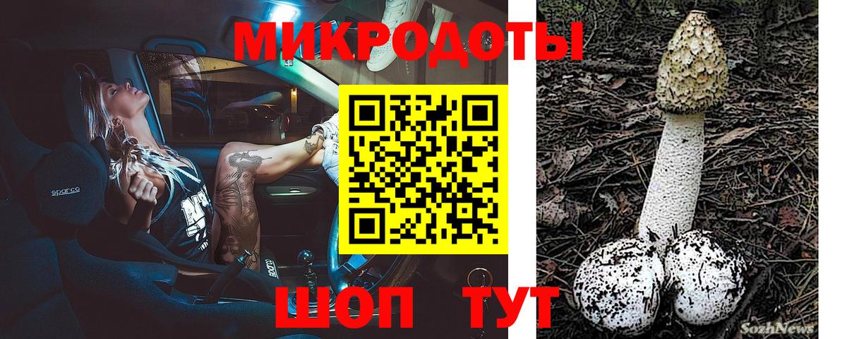 Псилоцибиновые грибы мухоморы  Вход с VPN  Псилоцибиновые грибы Psilocybe  закладка  Коряжма 
